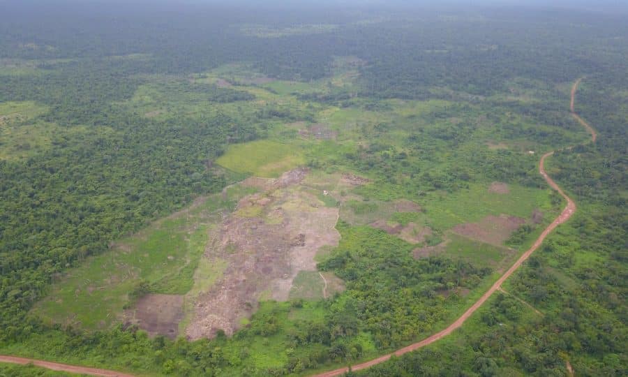 SW Nigeria Ise forest before conservation intervention