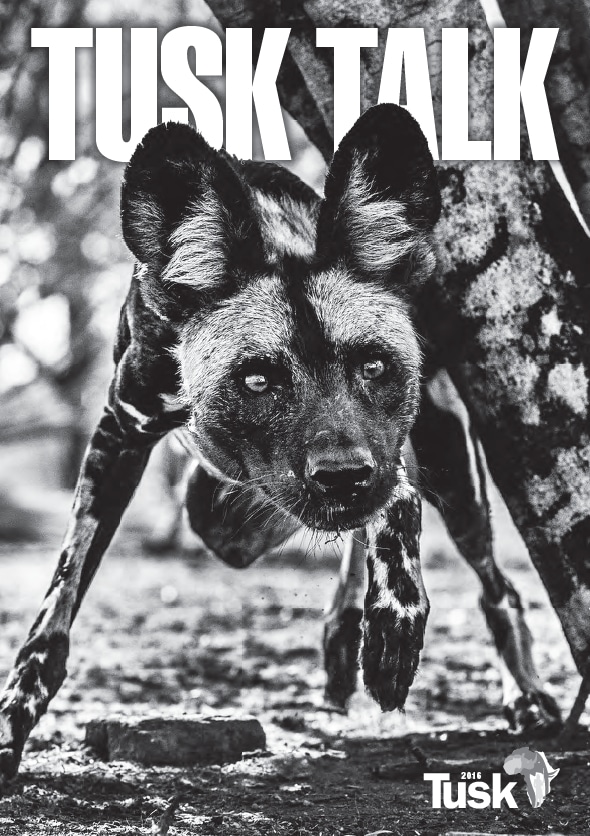Tusk Talk 2016 cover