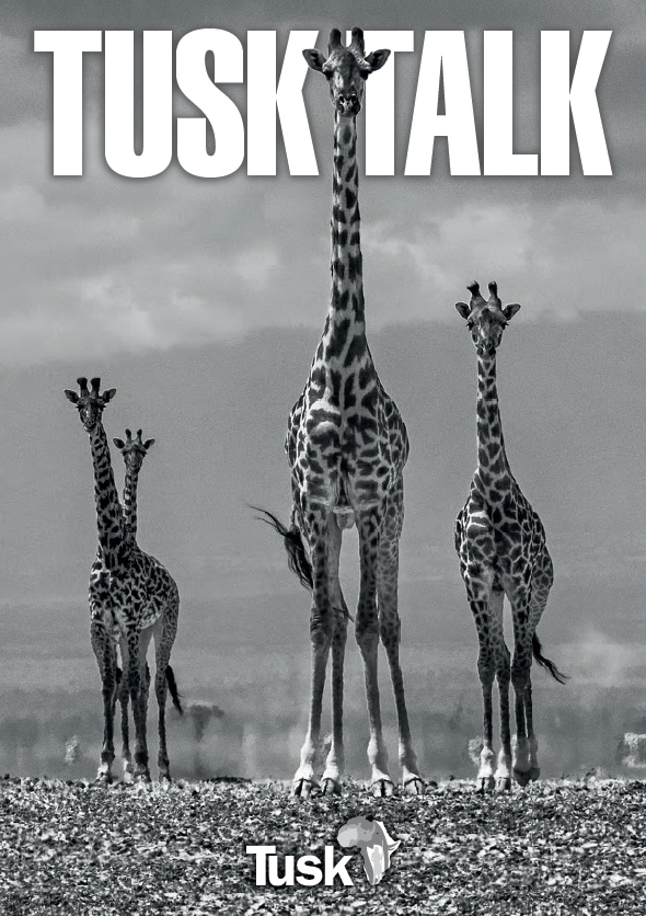 Tusk Talk 2017 cover