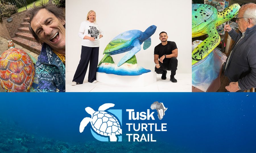 Deborah Meaden, Steven Bartlett, Ronnie Wood and Ralph Steadman behind the scenes with their turtle sculptures.