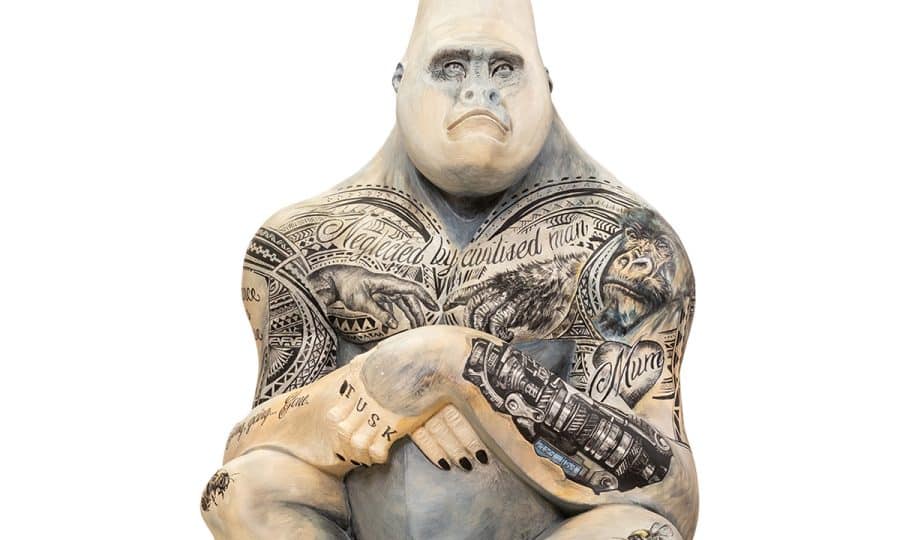 Tusk Gorilla Trail 2023 nickandrewsphoto Hannah Shergold - Respect the family