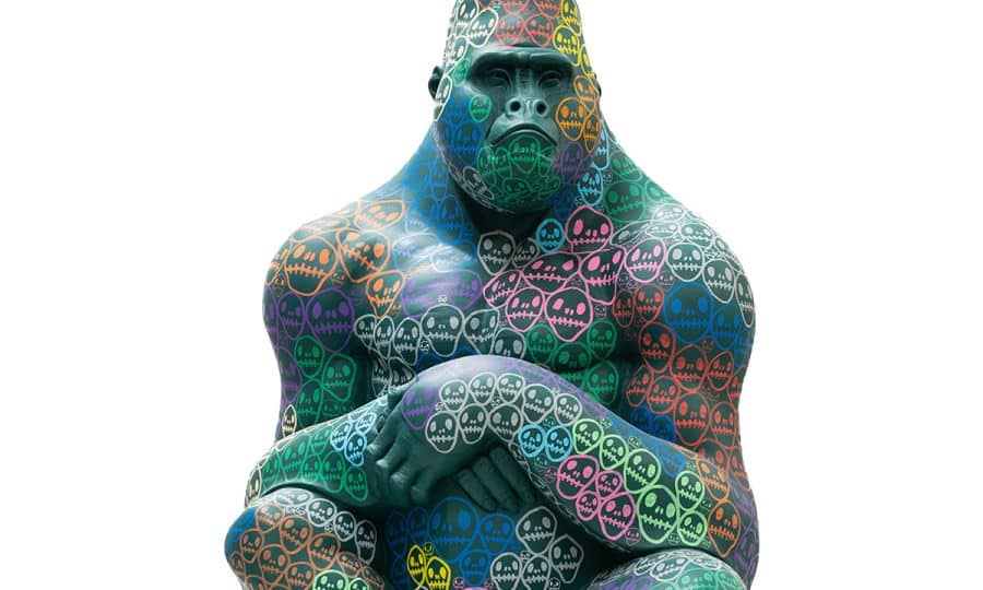 Tusk Gorilla Trail 2023 nickandrewsphoto Hayden Kays - Homeless