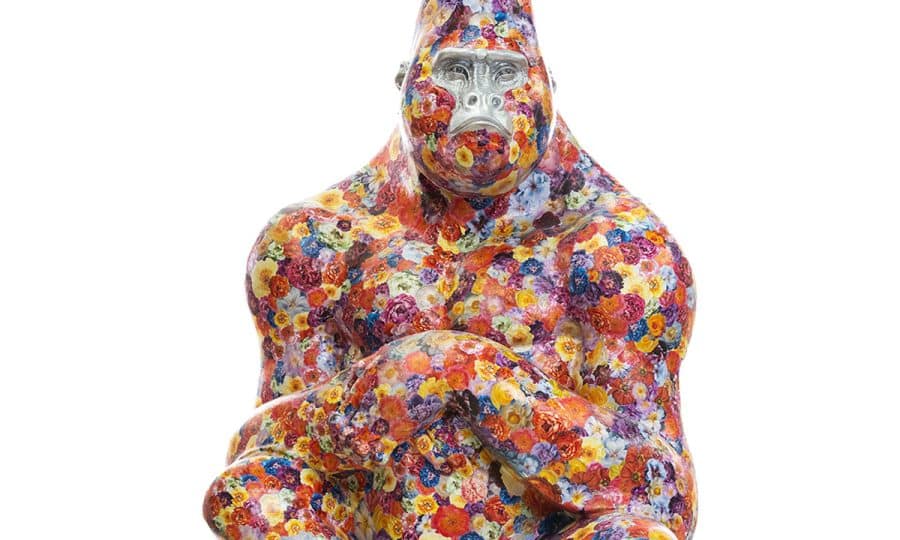 Tusk Gorilla Trail 2023 nickandrewsphoto Rankin - Flowerilla