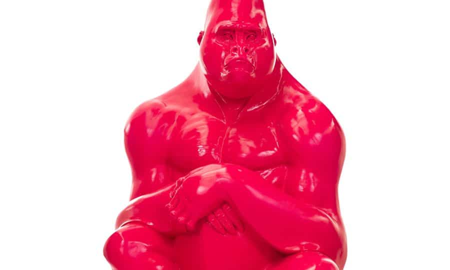 Tusk Gorilla Trail 2023 nickandrewsphoto Sally Wood - Precious