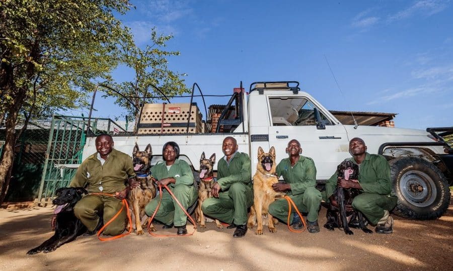 Tusk Trust - Conservation South Luangwa