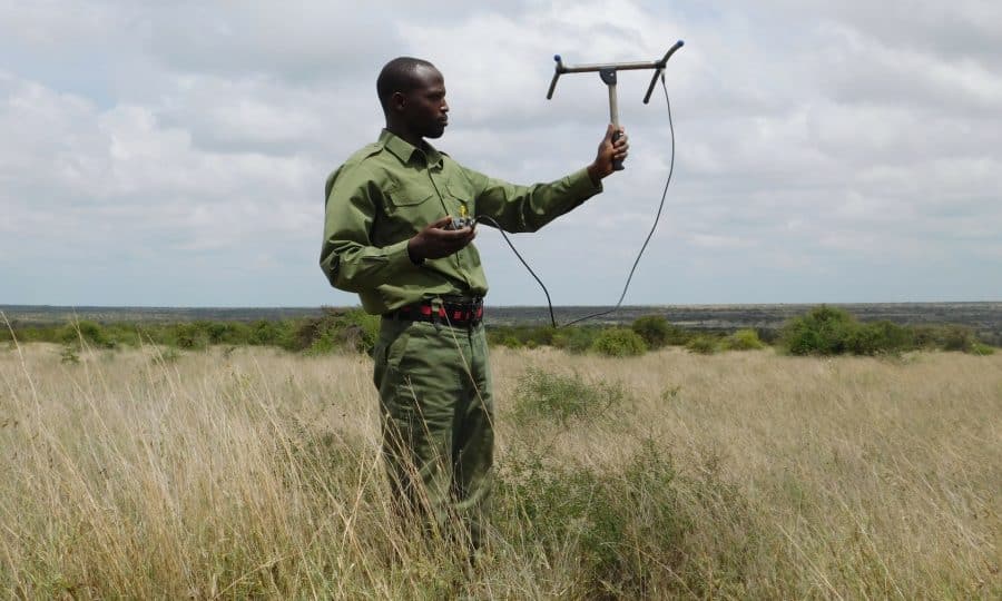 Tusk Trust - Lion Landscapes