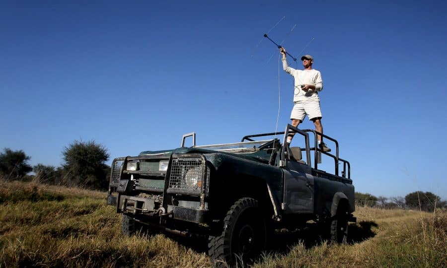 Tusk Trust - The Botswana Predator Conservation Trust