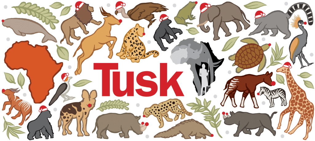 ‘Love Wildlife’ Christmas Collection – Festive Gift Ideas