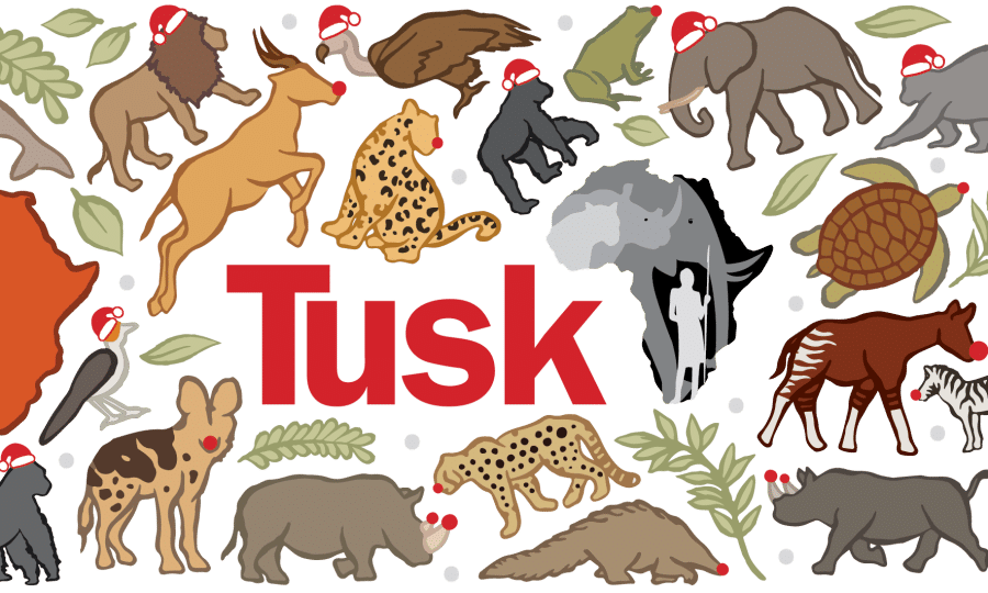 ‘Love Wildlife’ Christmas Collection – Festive Gift Ideas