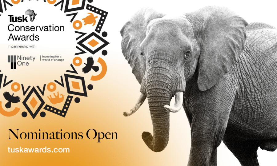 TCA25 Nominations open