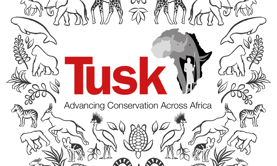 Tusk Colouring Page Pattern PNG